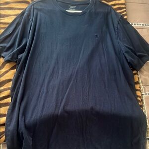 American Eagle Outfitters Blue Short Sleeve Tee